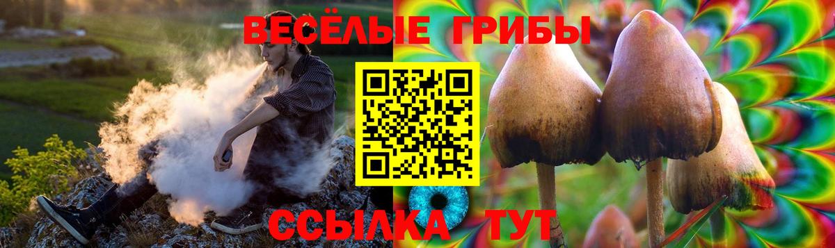 где можно купить наркотик  Вход с VPN  Касимов  Галлюциногенные грибы Psilocybine cubensis 